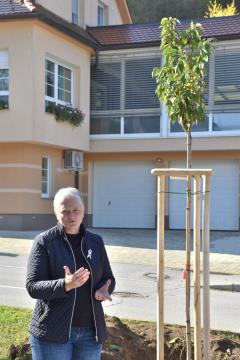 Rožnati oktober, zasaditev drevesa, 21.10. 2024 (7)